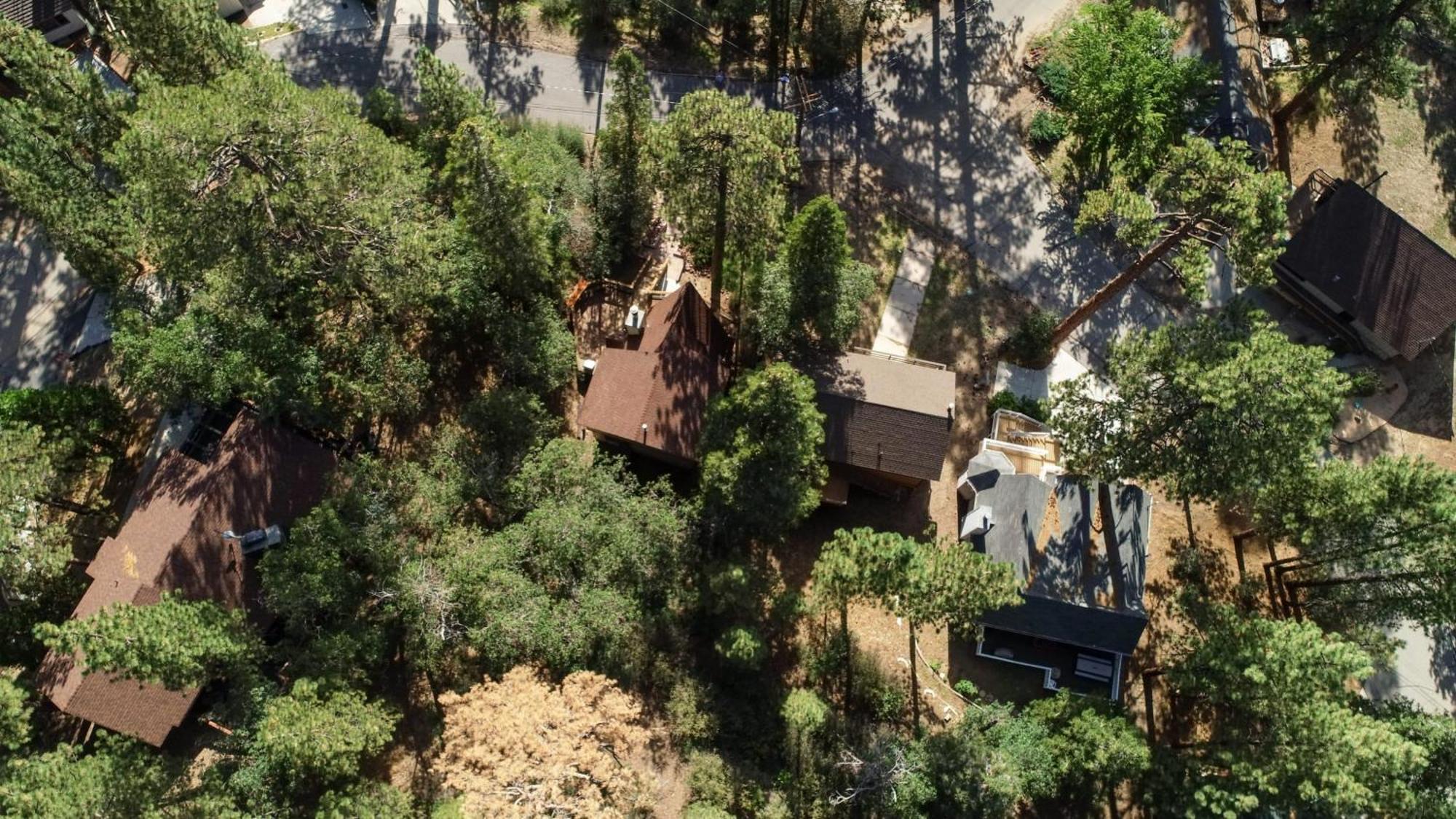 Bear'S Lair By Avantstay 3Mins From Bear Mountain Ski Resort بيغ بير لاكي، سان بيرناردينو، كاليفورنيا المظهر الخارجي الصورة